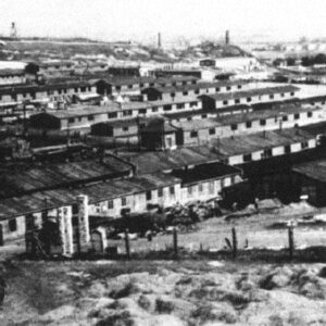 introduction image